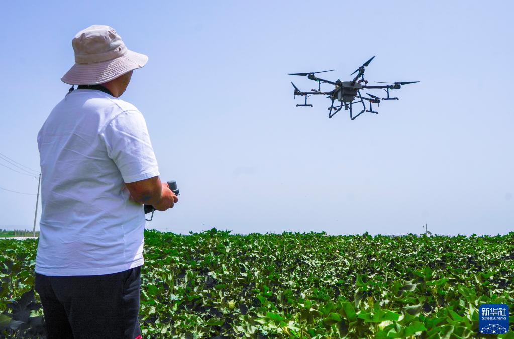 現代農技助力新疆夏管夏收，智慧農業迎來豐收季