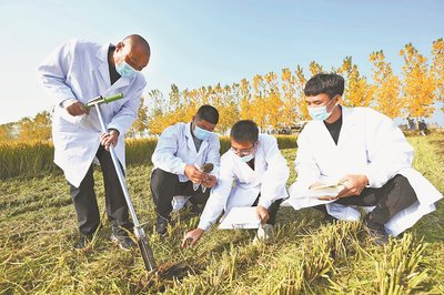 科技賦能，綠色希望——‘開(kāi)元上院杯’臨沂日?qǐng)?bào)新聞攝影大賽農(nóng)業(yè)技術(shù)研究專題作品集錦