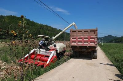 科技助力，省州專家團(tuán)隊(duì)赴施秉縣開(kāi)展中低產(chǎn)田產(chǎn)能提升與玉米大豆復(fù)合種植測(cè)產(chǎn)工作